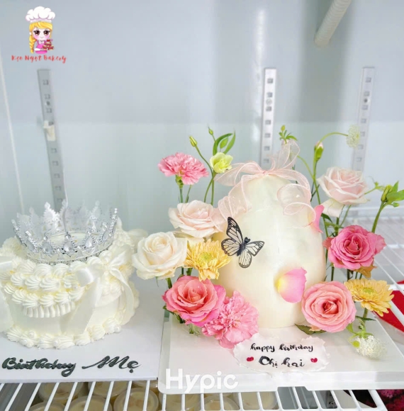 Mẫu bánh đập trứng hot 2025