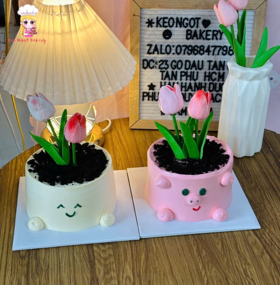Bánh Kem chậu hoa