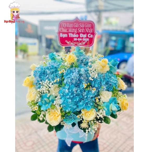 Giỏ hoa chúc mừng cẩm tú cầu 